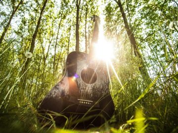 chitarra in mezzo al bosco