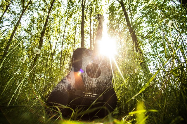 chitarra in mezzo al bosco